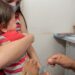 Vacina da gripe é para trabalhadores de saúde, gestantes, puérperas e crianças. Confira: