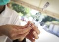 Gestantes e puérperas e pessoas para 2ª dose da Coronavac serão vacinadas amanhã