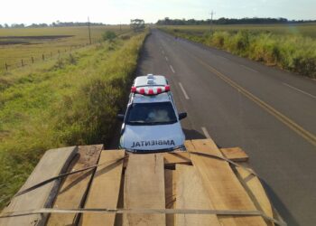 Carga de madeira é apreendida em caminhão com campo-grandense na MS-162
