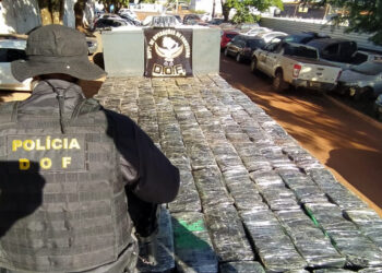Caminhão com mais de 6 toneladas de maconha foi apreendido pelo DOF durante a Operação Hórus