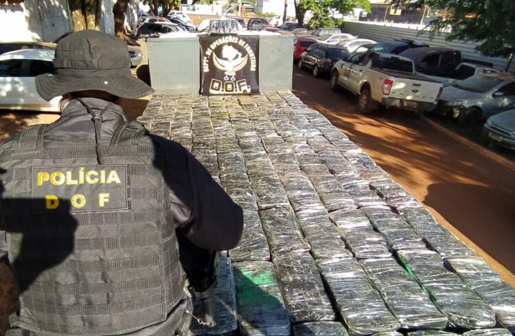 Caminhão com mais de 6 toneladas de maconha foi apreendido pelo DOF durante a Operação Hórus