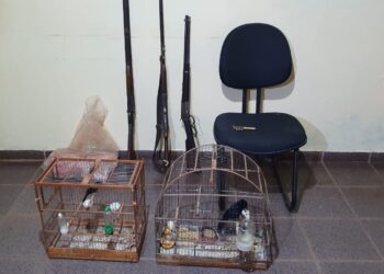 Homem é preso por degradar córregos, caçar e manter animais em cativeiro em MS