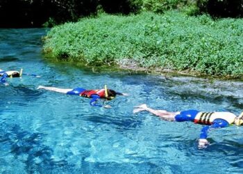 Turismo de Mato Grosso do Sul participa da edição virtual da BNT Mercosul