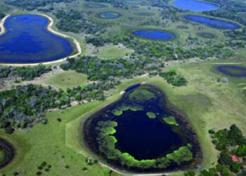 Governo avança para implantar o Parque Estadual do Pantanal do Rio Negro