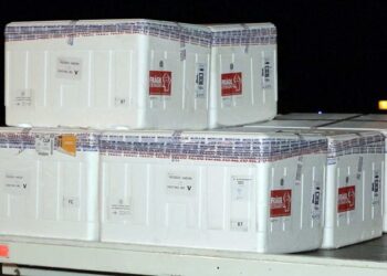 MS recebe nesta quinta-feira remessa com doses da Pfizer e na sexta-feira doses da Coronavac