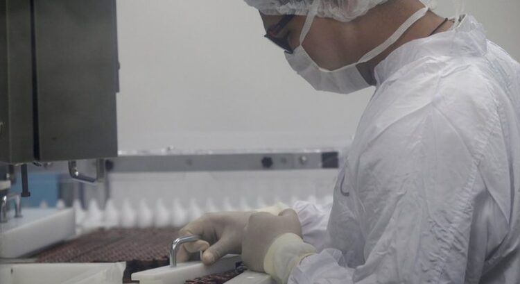 Câmara aprova produção da vacina pela indústria veterinária