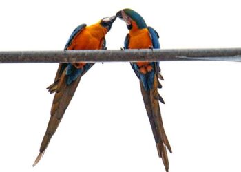 Tempo contribui para clima agradável com sol e friozinho no Dia dos Namorados