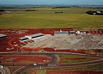 MS é 1° no Centro-Oeste e 7° no ranking nacional de ambiente e potencial de negócios