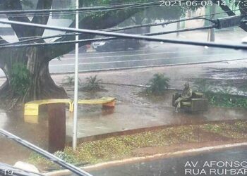 Após ser vandalizada, estátua do Manoel de Barros é monitorada com câmera e será revitalizada