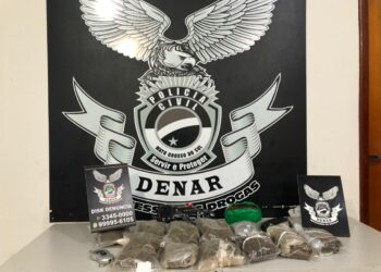 Mais uma apreensão da droga Skunk é feita no Los Angeles: 13 pacotes