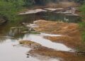 Com mais baixa estação chuvosa em 10 anos, Pantanal já tem 80% das propriedades afetadas