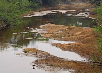 Com mais baixa estação chuvosa em 10 anos, Pantanal já tem 80% das propriedades afetadas