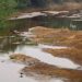Com mais baixa estação chuvosa em 10 anos, Pantanal já tem 80% das propriedades afetadas
