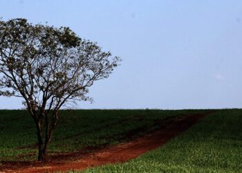 Chuva se mantém no centro-sul de MS e deixa temperaturas amenas nesta quarta