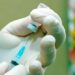 Secretaria de Saúde distribui aos municípios 77.250 doses da vacina da Astrazeneca