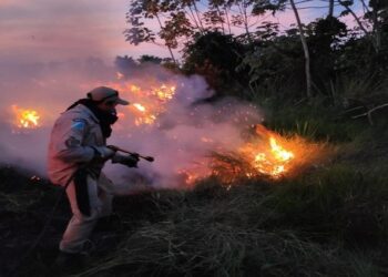 Fogo em MS volta a preocupar e Bombeiros farão cerca de 500 diligências ao mês