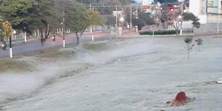 Leitores mandam fotos de Dourados, após forte geada desta madrugada: grama congelada