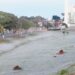 Leitores mandam fotos de Dourados, após forte geada desta madrugada: grama congelada