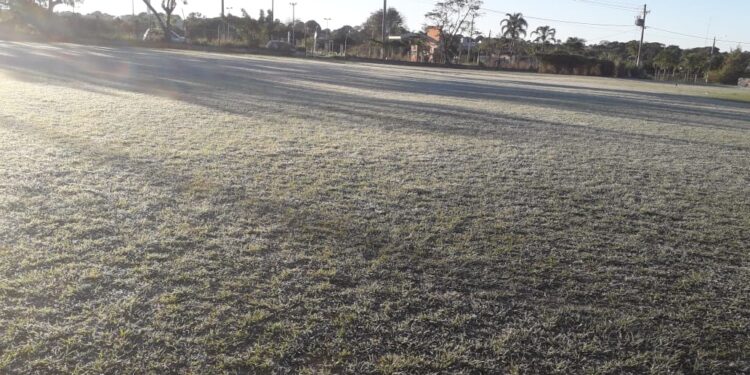 Leitores mandam fotos de Dourados, após forte geada desta madrugada: grama congelada