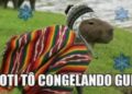 É só esfriar que a Capivara não escapa de virar meme na internet!