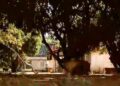 Caseiro de chácara teria trocado tiros com Lázaro em Girassol (GO)
