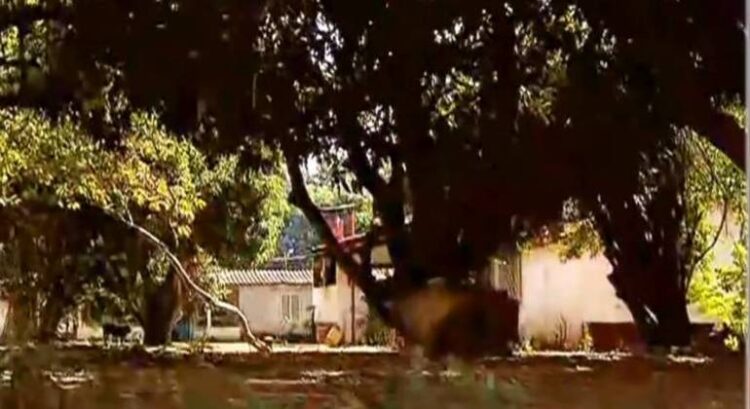Caseiro de chácara teria trocado tiros com Lázaro em Girassol (GO)