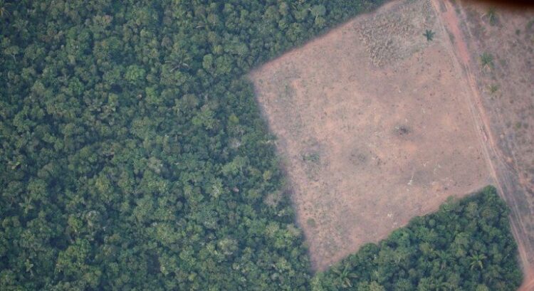 Entenda como o desmatamento da Amazônia aumenta risco de apagão