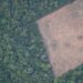 Entenda como o desmatamento da Amazônia aumenta risco de apagão