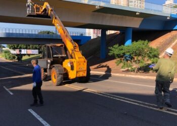 Artista vence o Covid-19 e retoma arte em viaduto da Capital: “Projeto Cores e Vias”
