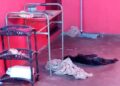 Cachorro morre de hipotermia no Bairro São Conrado e delegacia investiga o caso