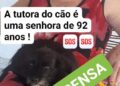 Petshop perde cadela de idosa de 92 anos e família faz apelo nas redes sociais para encontrá-la