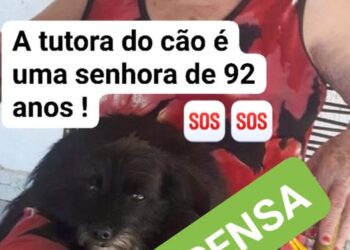 Petshop perde cadela de idosa de 92 anos e família faz apelo nas redes sociais para encontrá-la