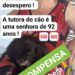 Petshop perde cadela de idosa de 92 anos e família faz apelo nas redes sociais para encontrá-la