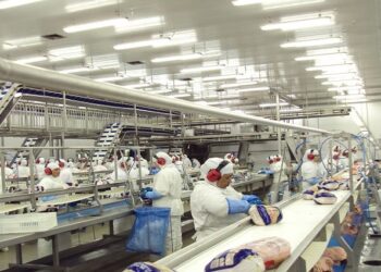 Em retomada econômica, MS acumula 24,3 mil novos empregos no ano