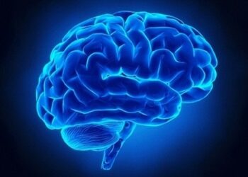 Hoje é Dia do Mundial do Cérebro e nutricionista dá dicas de alimentos que melhoram sua saúde