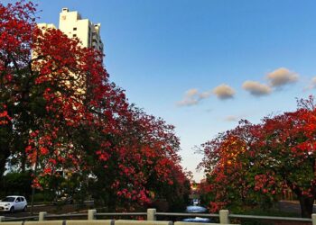 Primeiro fim de semana de junho será de tempo firme e seco em todo Estado