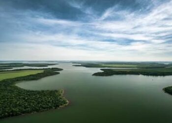 UEMS integra Fórum da UGD da Reserva da Biosfera Mata Atlântica/Itaipu