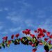Frio se vai e sábado será de tempo firme durante todo o dia em MS