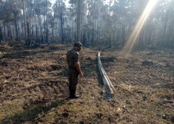 Fazendeiro sente no bolso mais de R$ 246 mil ao incendiar 821 hectares do Pantanal em MS