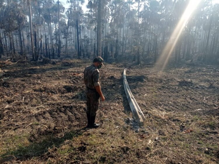 Fazendeiro sente no bolso mais de R$ 246 mil ao incendiar 821 hectares do Pantanal em MS