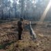 Fazendeiro sente no bolso mais de R$ 246 mil ao incendiar 821 hectares do Pantanal em MS