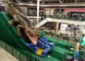 Jacaré gigante invade shopping na Capital e é atração para toda a família