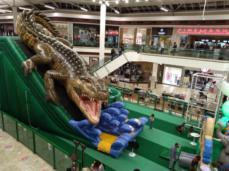 Jacaré gigante invade shopping na Capital e é atração para toda a família