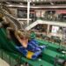Jacaré gigante invade shopping na Capital e é atração para toda a família