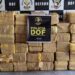 DOF apreende camionete carregada com mais de 1,2 quilos de maconha em MS