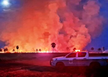 Ao percorrer mais de 23 mil km e visitar 514 propriedades, PMA autua 69 por incêndio