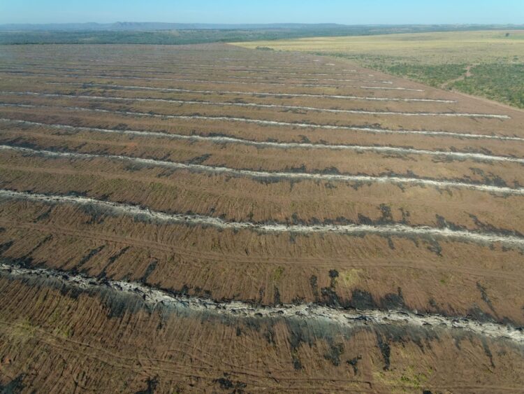Empresário campo-grandense é autuado por incendiar restos de vegetação em fazenda
