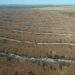 Empresário campo-grandense é autuado por incendiar restos de vegetação em fazenda
