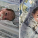 “Mãe Guerreira”: gêmeos de parto, durante entubação, são apresentados à sociedade