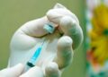MS recebe 54.500 doses da vacina contra COVID-19 hoje e 58.160 doses chegam amanhã